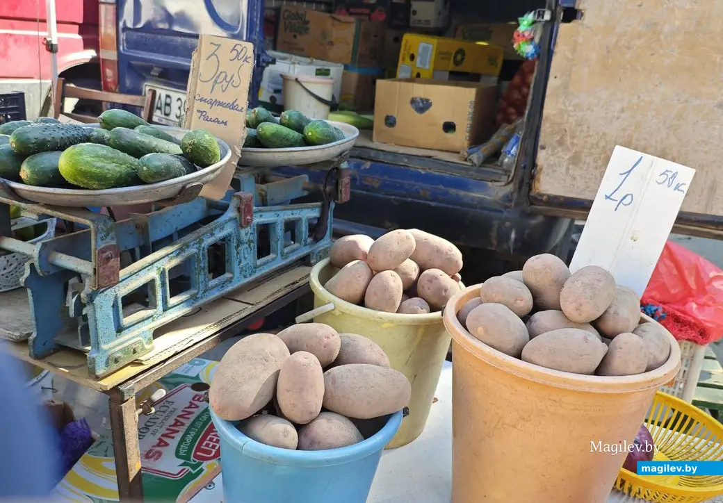 11 сентября 2025 года. Могилев. Рынок по улице Островского.