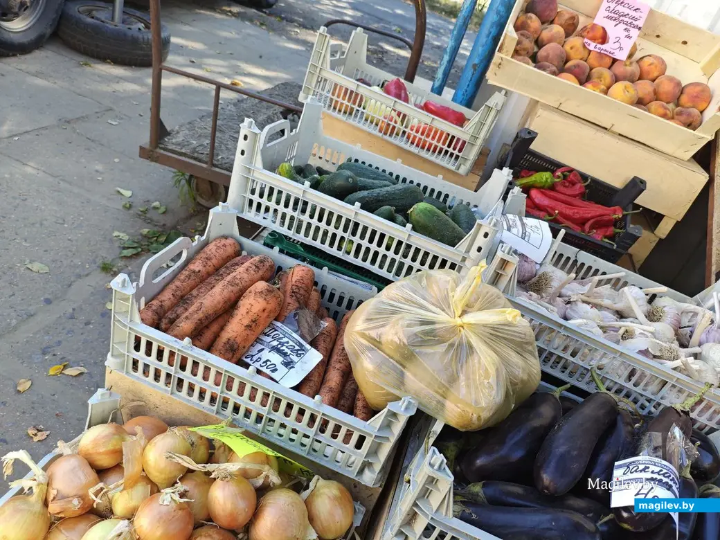 11 сентября 2025 года. Могилев. Рынок по улице Островского.