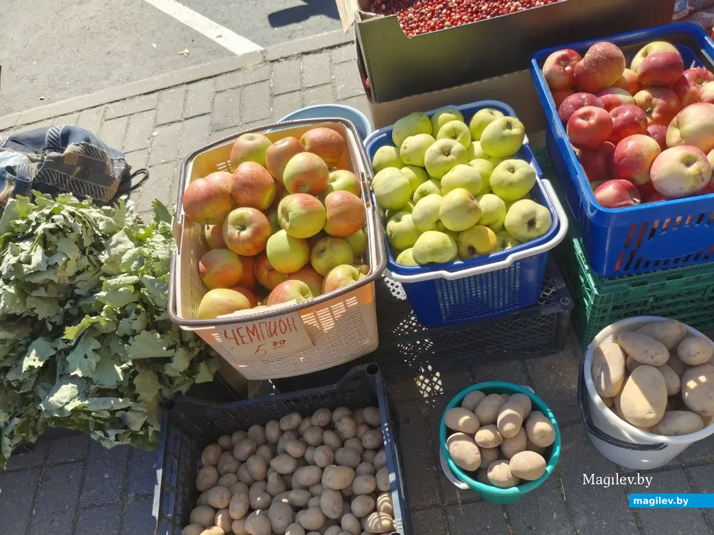 11 сентября 2025 года. Могилев. Минский рынок.