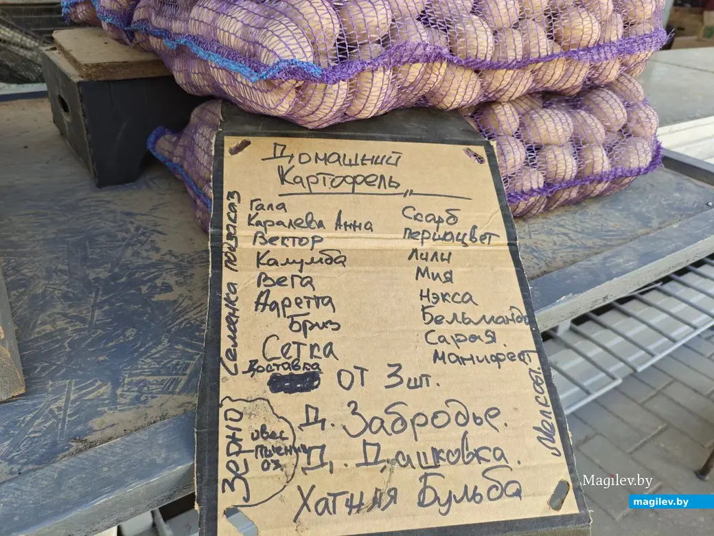 11 сентября 2025 года. Могилев. Минский рынок.