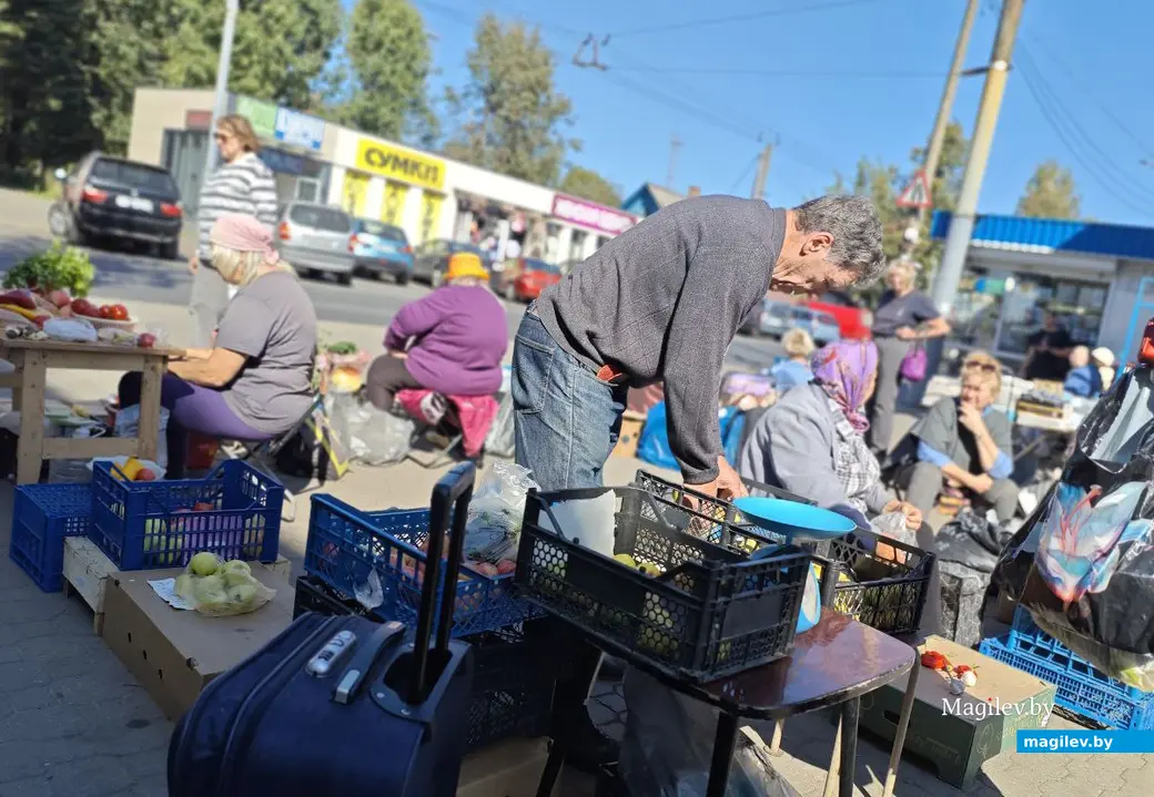 11 сентября 2025 года. Могилев. Привокзальный рынок.