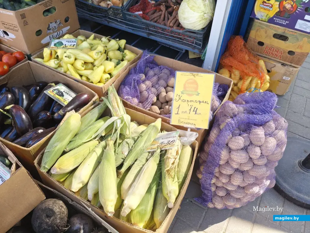 11 сентября 2025 года. Могилев. Привокзальный рынок.