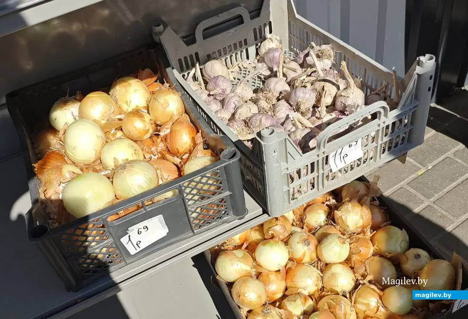 11 сентября 2025 года. Могилев. Минский рынок.