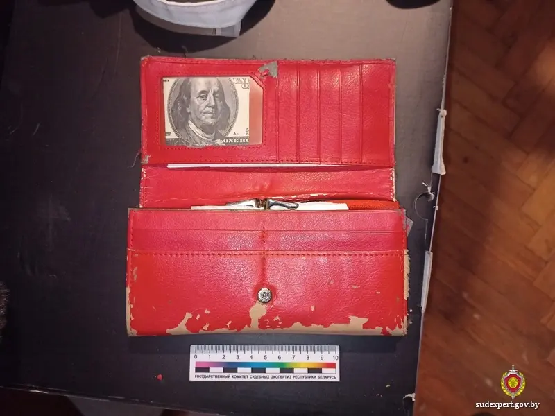 Накопления женщина хранила в кошельке в шкафу, однако в какой-то момент увидела, что там осталась одна мелочь. Фото ГКСЭ.