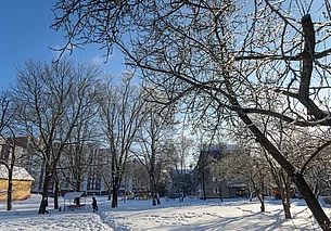 Облачно, на дорогах гололедица: погода в Могилеве 10 февраля