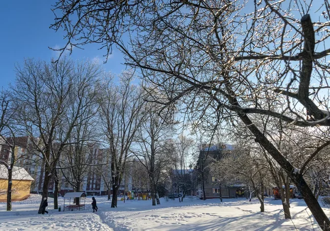 Облачно, на дорогах гололедица: погода в Могилеве 10 февраля