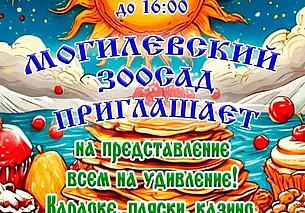 Караоке, конкурсы, угощения: могилевский зоосад приглашает на Масленицу