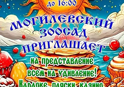 Караоке, конкурсы, угощения: могилевский зоосад приглашает на Масленицу