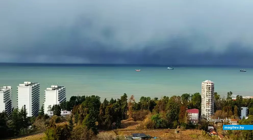  2026. Грузия, Батуми. Вид на Черное море из мастерской Вадиса.