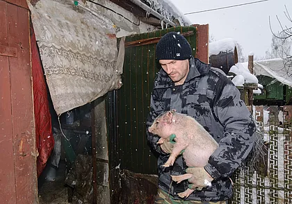 «Хозяйство себя обычно окупает». Как бобруйчанин подрабатывает на свиньях, кроликах и птице