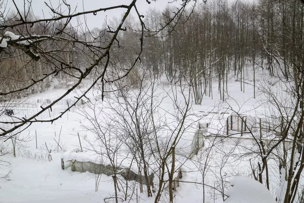 05.02.2026. Бобруйчанин Сергей Семенков держит свиней, кроликов и птиц на приусадебном участке.