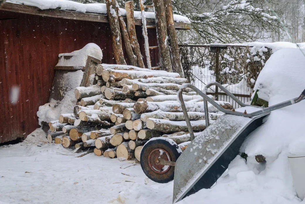 05.02.2026. Бобруйчанин Сергей Семенков держит свиней, кроликов и птиц на приусадебном участке.