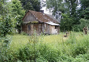 2 тысячи пустующих домов купили за одну базовую белорусы в 2025 году