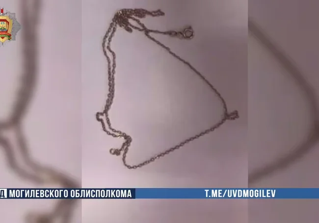 В Бобруйске сын украл у матери золотые украшения