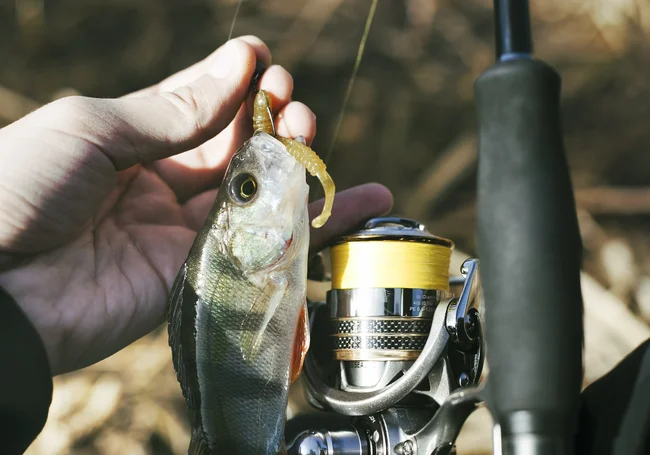 С 1 октября в Беларуси запрещен лов рыбы на «зимовальных ямах»