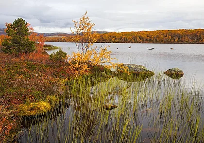 Возможен дождь и до 18 градусов тепла: какой будет погода в Могилеве в четверг, 18 сентября