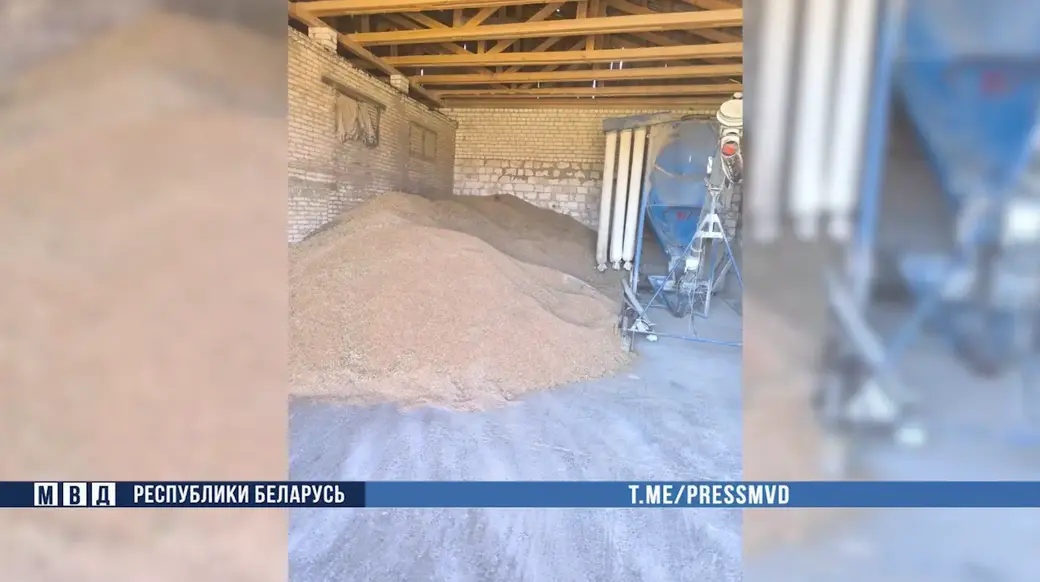 19 коров погибли из-за халатности директора одного из хозяйств Осиповичского района. Фото: МВД РБ