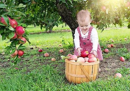 На листьях – налет и странные пятна: 7 самых распространенных заболеваний в саду