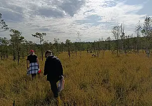 «Глушчане на балоце». Як мы збіралі журавіны каля возера Баравое ў Глускім раёне