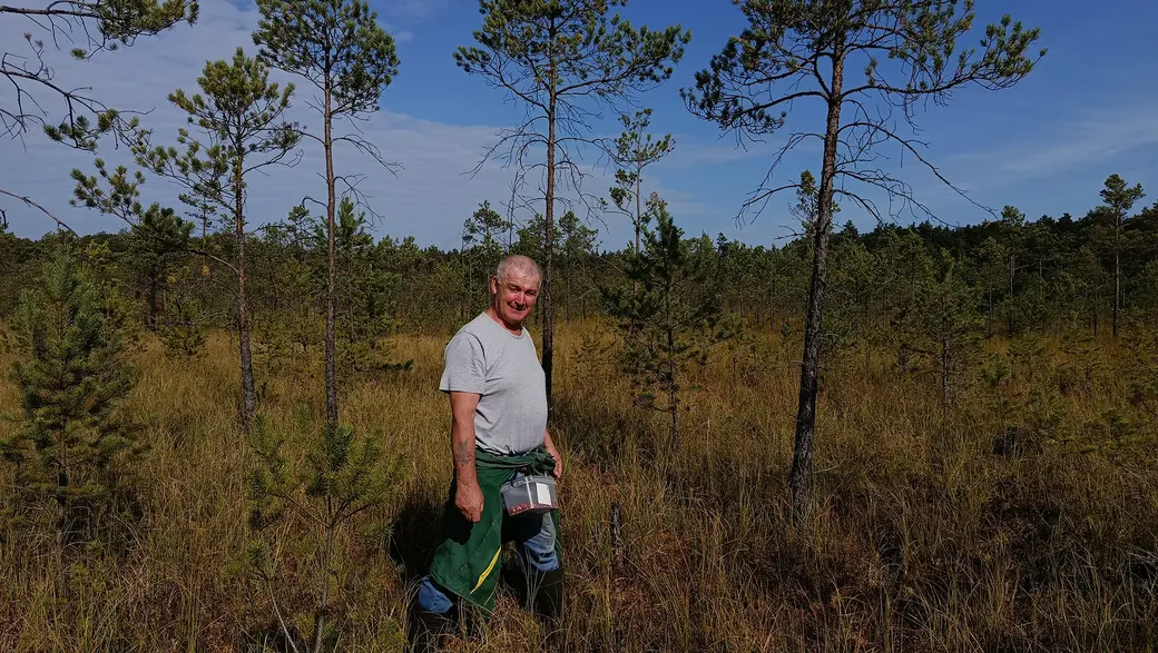 Верасень 2025 г. Глушчанін Віктар на балоце каля возера Баравое.