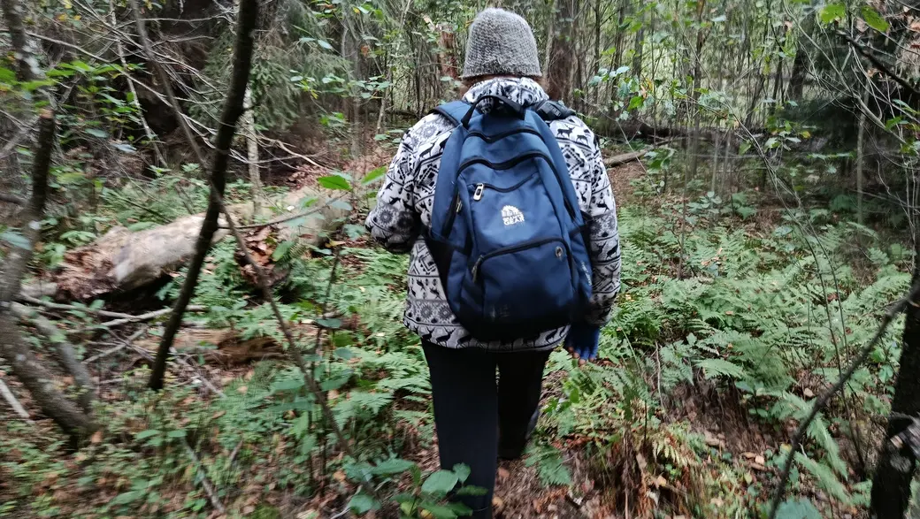 Верасень 2025 г. Ідзём на балота з жыхаркай вёскі Бярозаўка Глускага раёна Нінай Міхайлаўнай Ляпко.