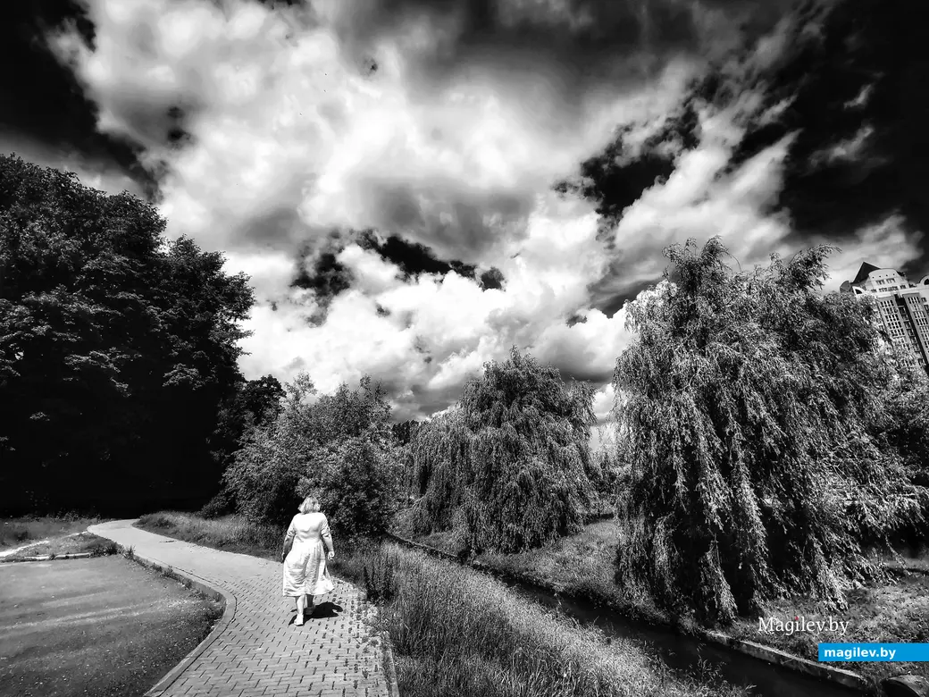 Автор фото: Эндрикас Юшка.