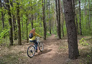 Белстат: 39,3% территории Могилевской области покрыто лесом