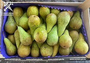 Могилевские и витебские таможенники пресекли незаконный вывоз 40 тонн груш в Россию