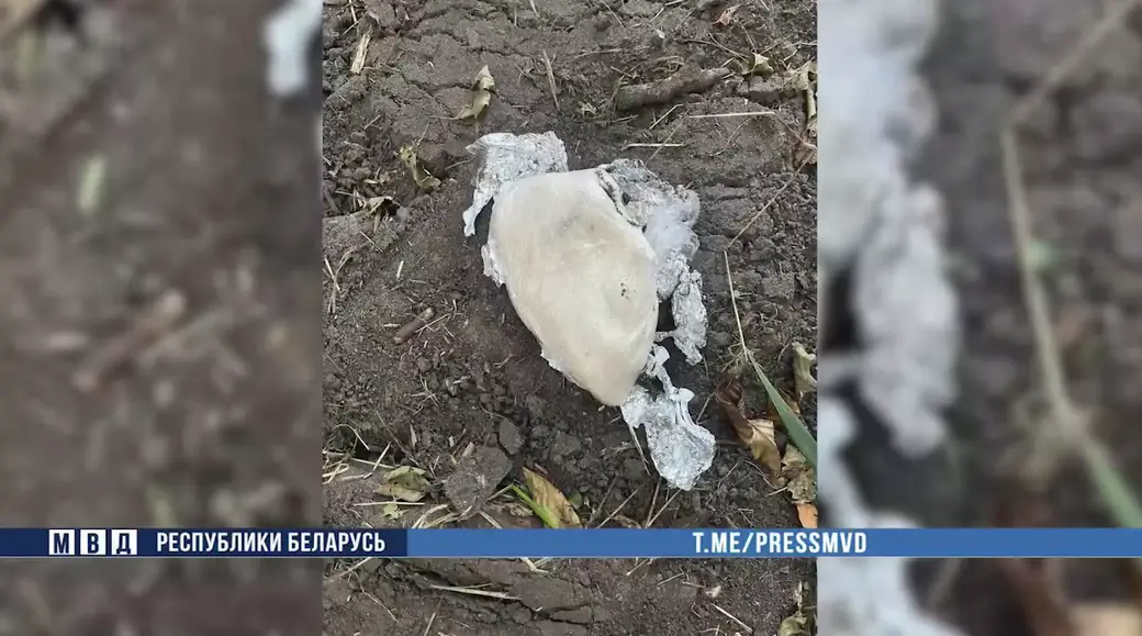 Фото: МВД РБ