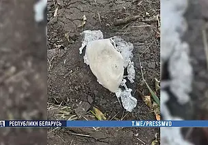 Жительница Бобруйска работала на наркомаркет. Ей грозит до 15 лет лишения свободы