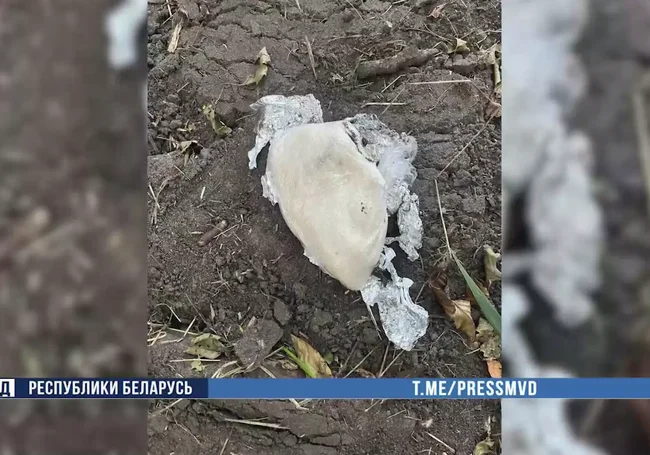 Жительница Бобруйска работала на наркомаркет. Ей грозит до 15 лет лишения свободы