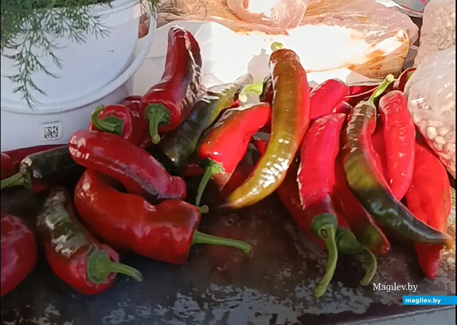 24.09.2025 год. Центральный глусский рынок.