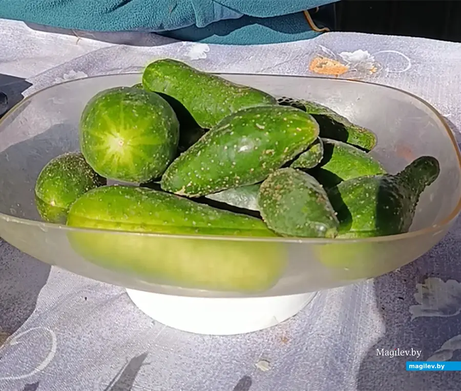 24.09.2025 год. Центральный глусский рынок.