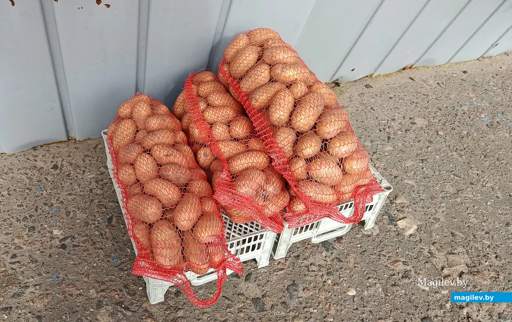 24.09.2025 год. Центральный глусский рынок.