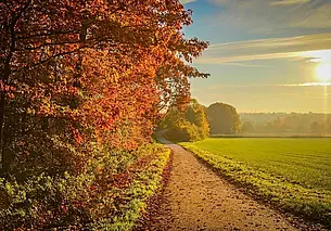 Солнечно и прохладно: какой будет погода в Могилеве в четверг, 25 сентября