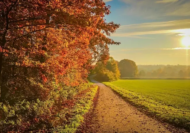 Солнечно и прохладно: какой будет погода в Могилеве в четверг, 25 сентября