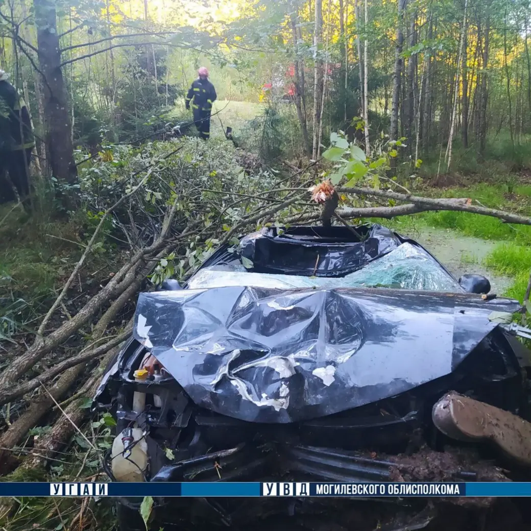 25.09.2025 г. Могилевский район. Фото: УВД Могоблисполкома