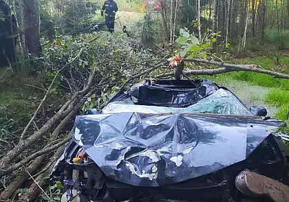 Смертельное ДТП в Могилевском районе: автомобиль столкнулся с лосем