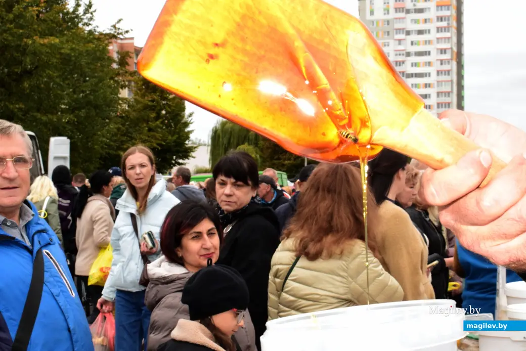 27.09.25, Бобруйск. Кирмаш «Золотая осень». Мёд с белком