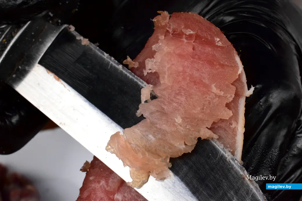 27.09.25, Бобруйск. Кирмаш «Золотая осень»