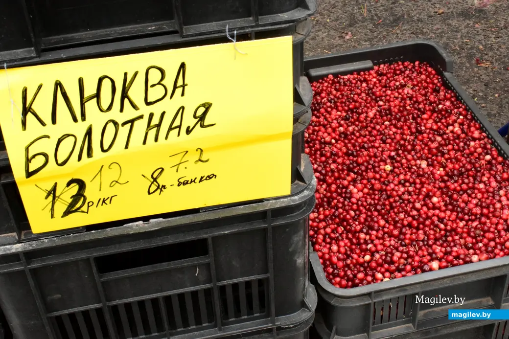 27.09.25, Бобруйск. Кирмаш «Золотая осень»