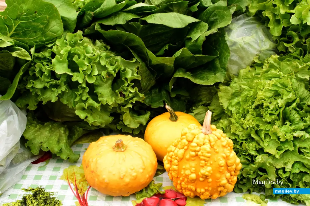 27.09.25, Бобруйск. Кирмаш «Золотая осень»