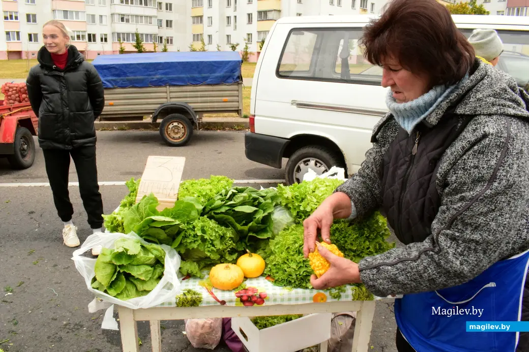 27.09.25, Бобруйск. Кирмаш «Золотая осень»