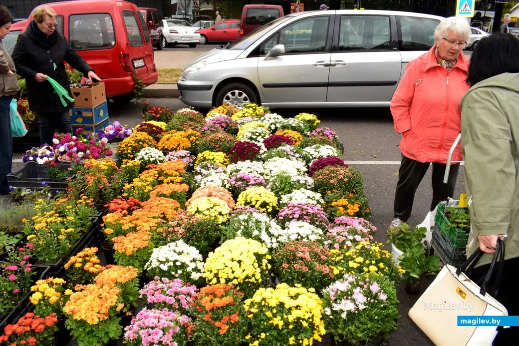 27.09.25, Бобруйск. Кирмаш «Золотая осень»
