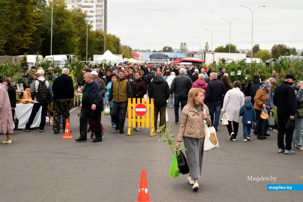 27.09.25, Бобруйск. Кирмаш «Золотая осень»
