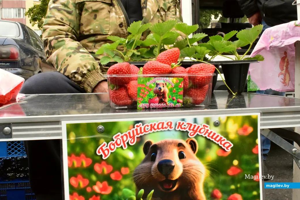 27.09.25, Бобруйск. Кирмаш «Золотая осень»