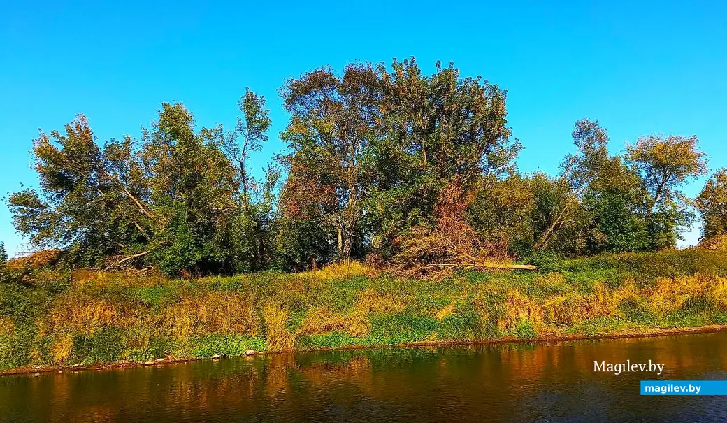 26.09.2025, Могилев, теплоход «Могилев», прогулка по Днепру.