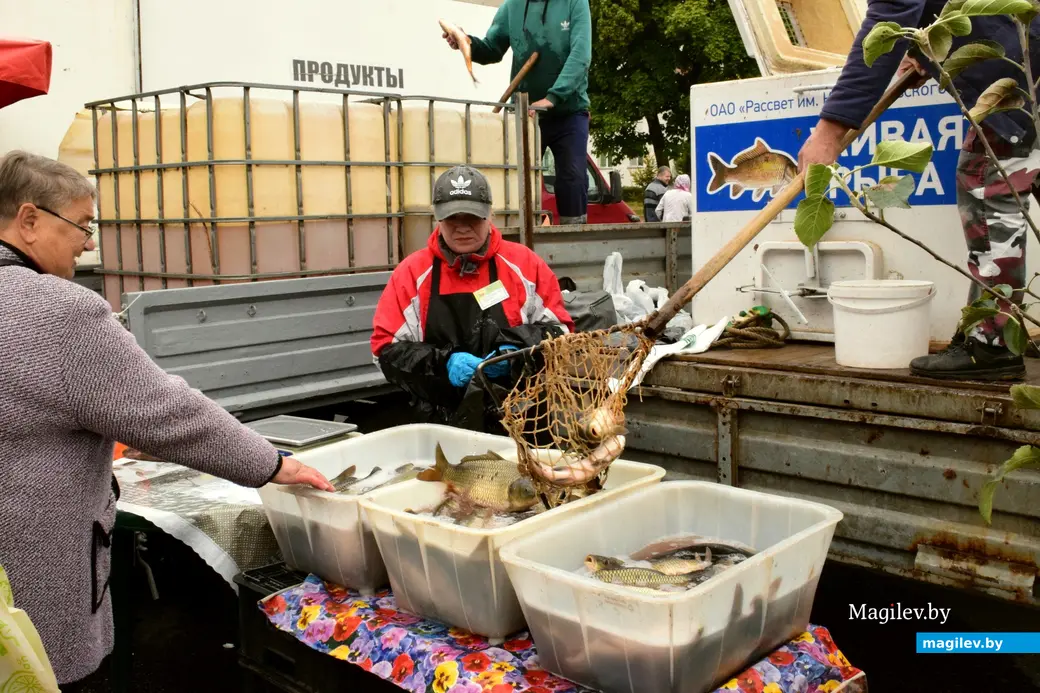 27.09.25, Бобруйск. Кирмаш «Золотая осень»