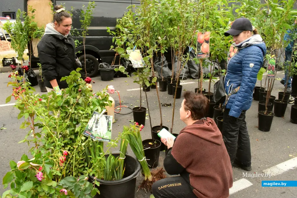 27.09.25, Бобруйск. Кирмаш «Золотая осень»