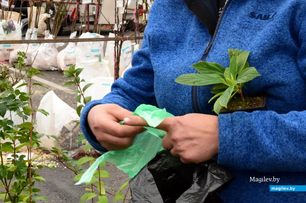 27.09.25, Бобруйск. Кирмаш «Золотая осень»